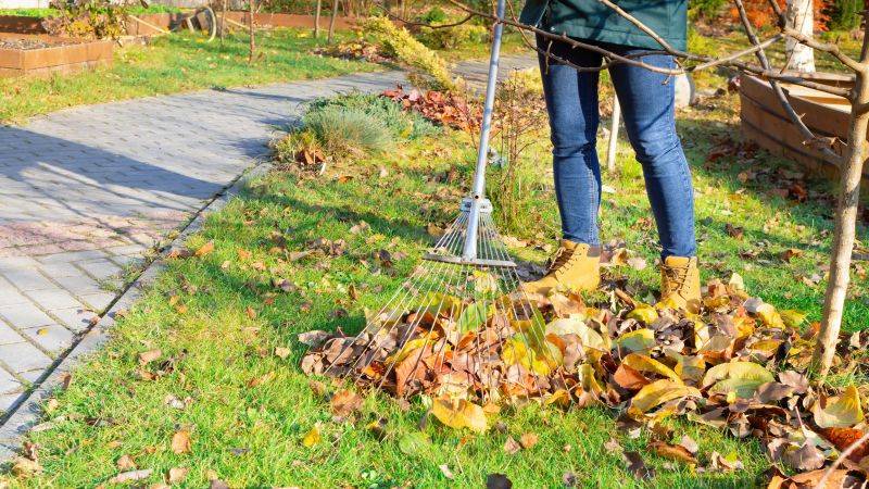 Autumn Leaf Collection Service