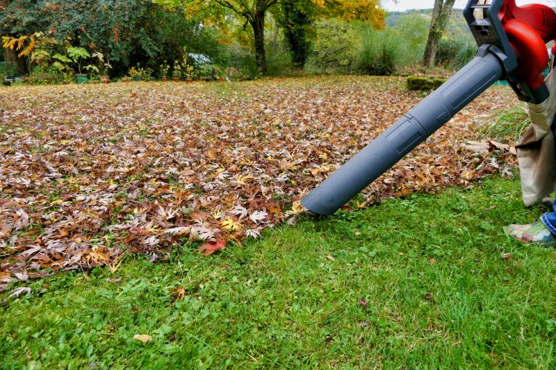 Efficient Leaf Removal Tools