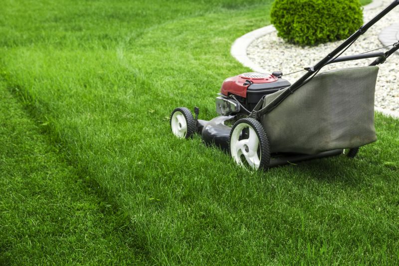 Lawn Health Improvement