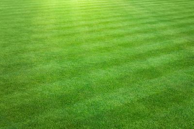 Seasonal Mowing Patterns