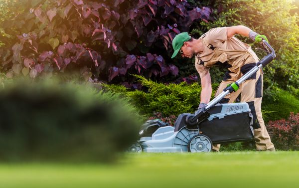 Yard Care Service in Bozeman