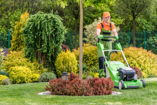 Yard Service in Bozeman