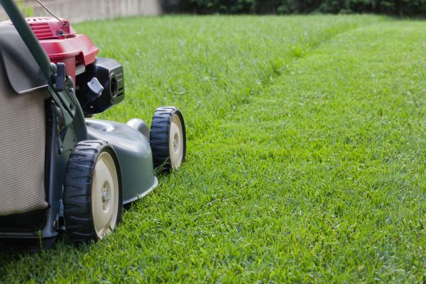 Residential Lawn Care in Bozeman