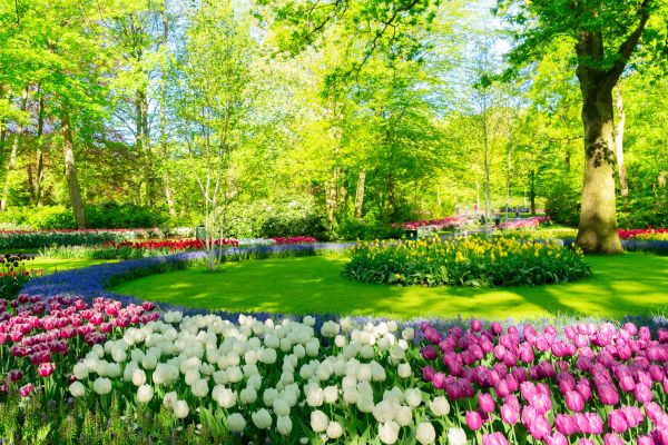 Cost of Spring Lawn Care in Bozeman