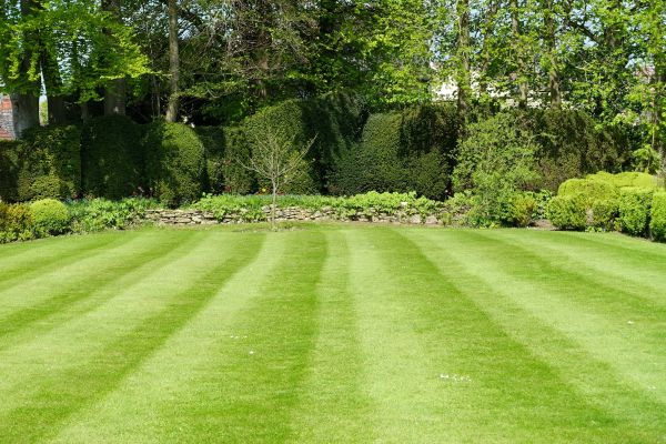 Grass Care Service in Bozeman