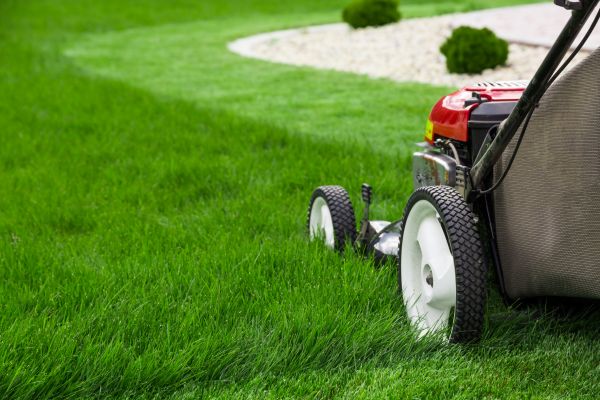 Lawn Service in Bozeman