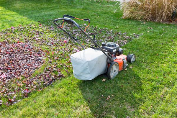 Seasonal Lawn Care in Bozeman