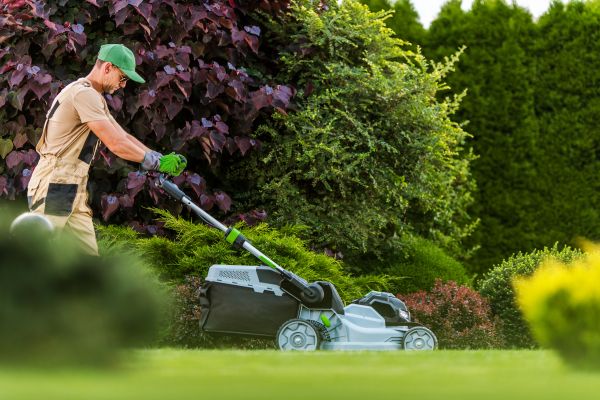 Lawn Management in Bozeman