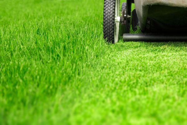 Weekly Lawn Care in Bozeman