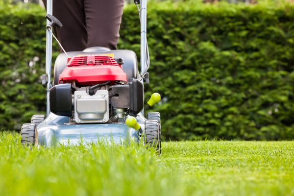 Cost of Grass Trimming Service in Bozeman