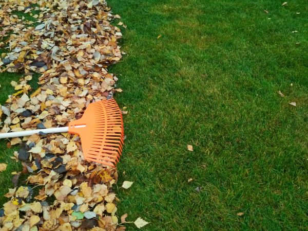 Fall Lawn Care in Bozeman