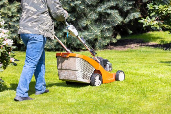 Springtime Lawn Care in Bozeman
